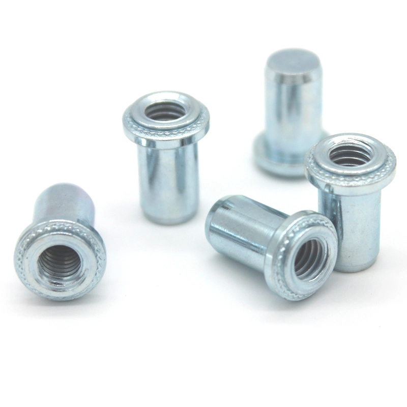 Stainless Steel Fasteners 304 BS-M3-1 BS-M3-2 Blind Nuts Self Clinching Nuts